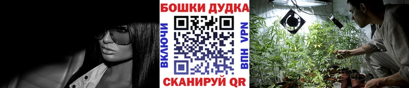 Купить ГАШИШ  Конопля  A PVP  МЕФ  Галлюциногенные грибы  Кокаин  Тетюши