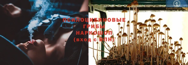 круглые Алексеевка