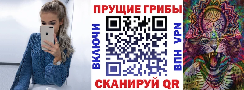 Купить где  Тетюши  Галлюциногенные грибы Magic Shrooms 